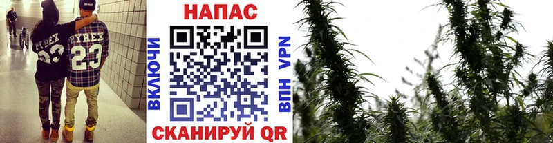 ссылка на мегу рабочий сайт Чернушка Бошки марихуана AK-47